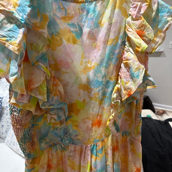 Roberta Roller Rabbit Dress - Picture 3 of 6